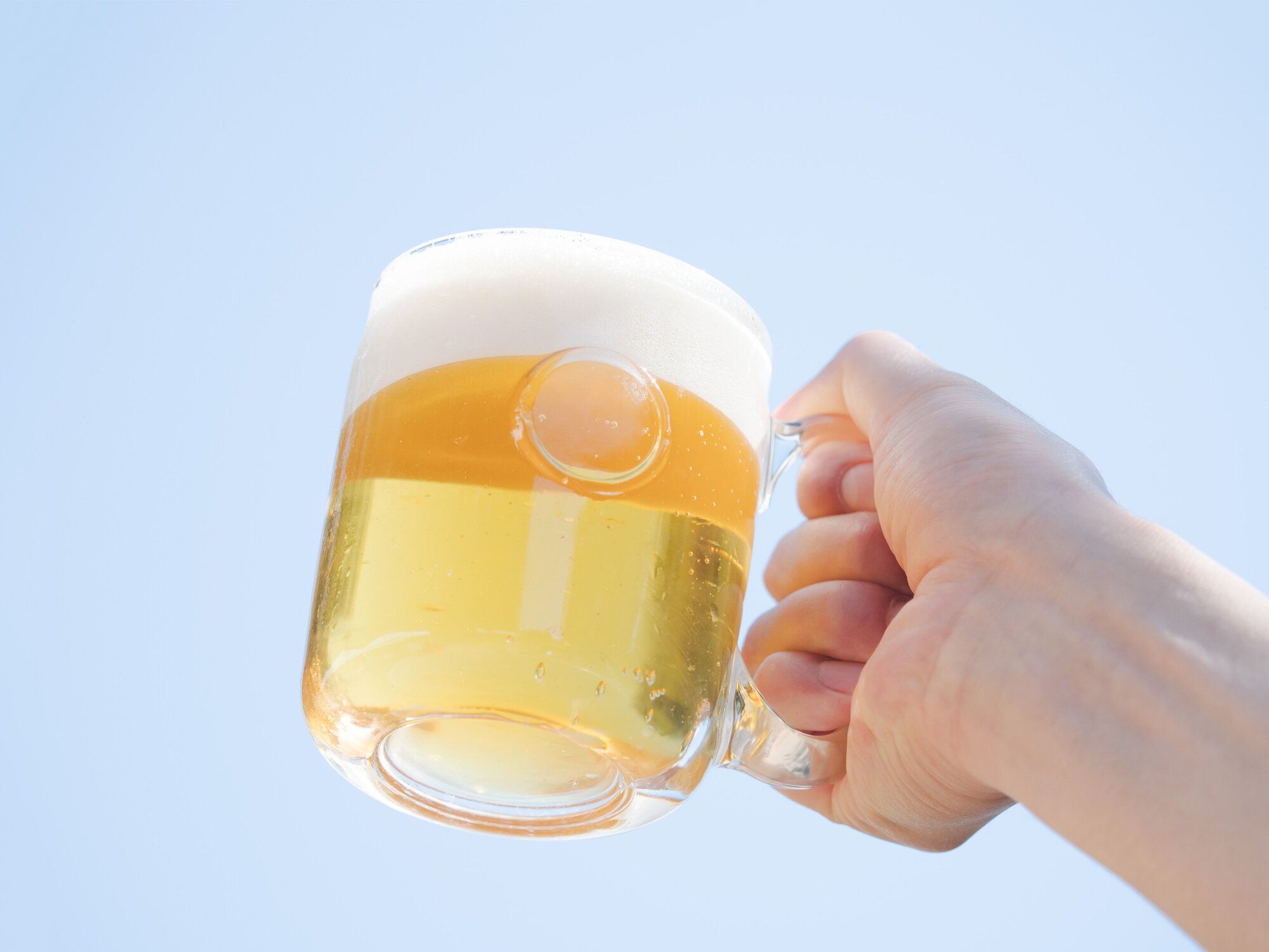 緑の草の上の公園で手をつないでいる家族.