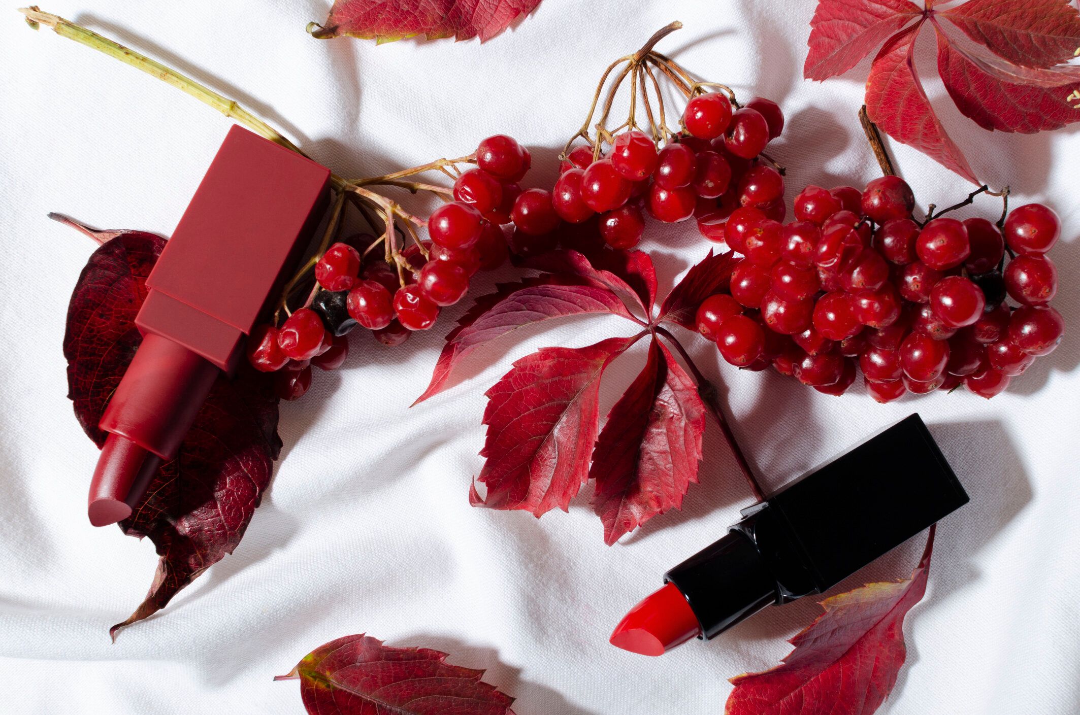 開いた赤い口紅、ベリー、紅葉のトップビュー
