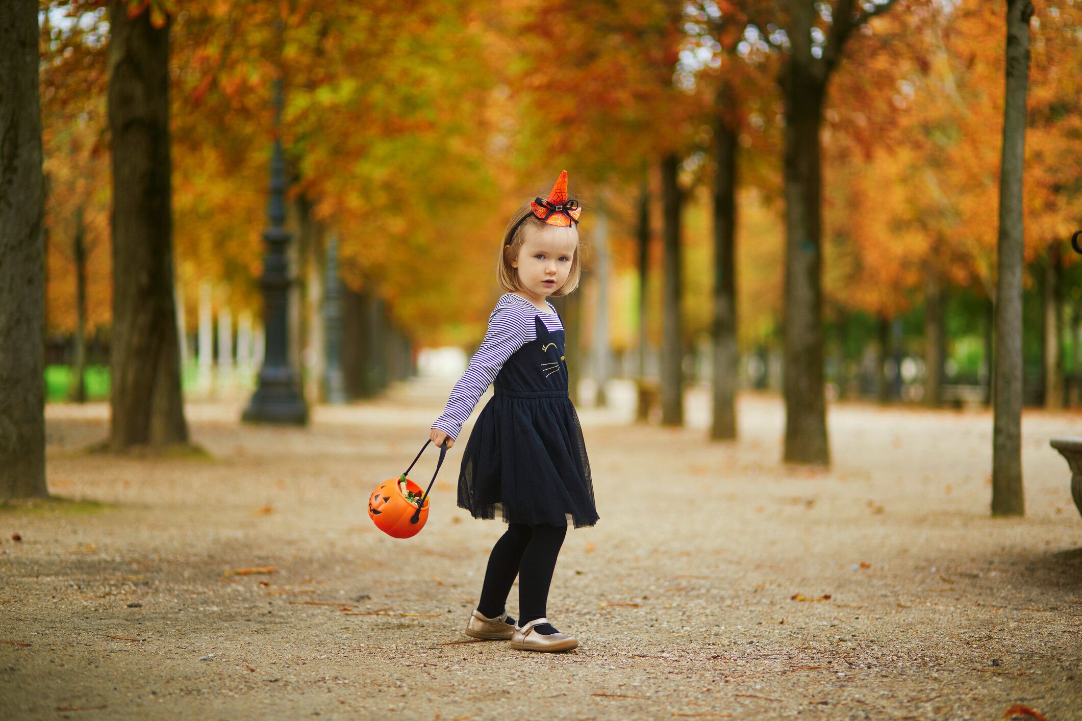 オレンジカボチャのバケツでチュチュスカートトリックまたはトリートメントと黒猫のドレスで愛らしい幼児の女の子