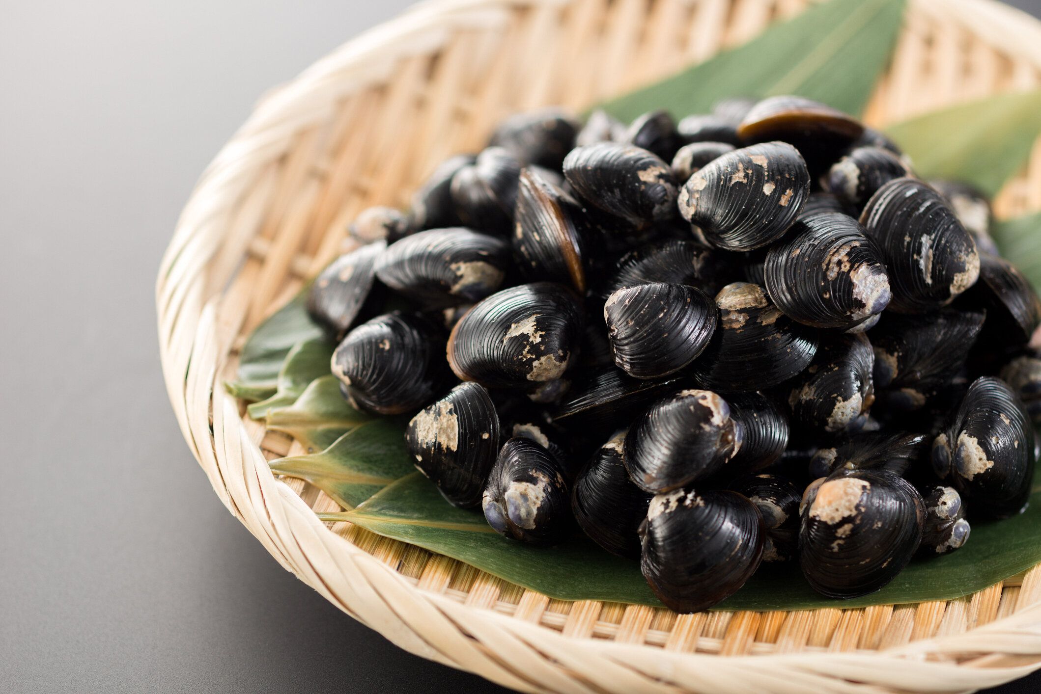 シジミハマグリ。