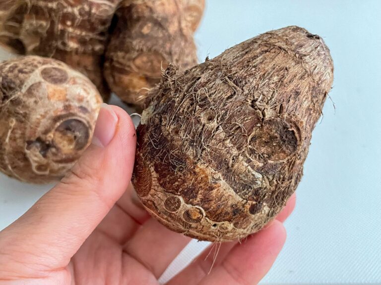 野菜のプロが教える！里芋の皮は洗わないのが正解！