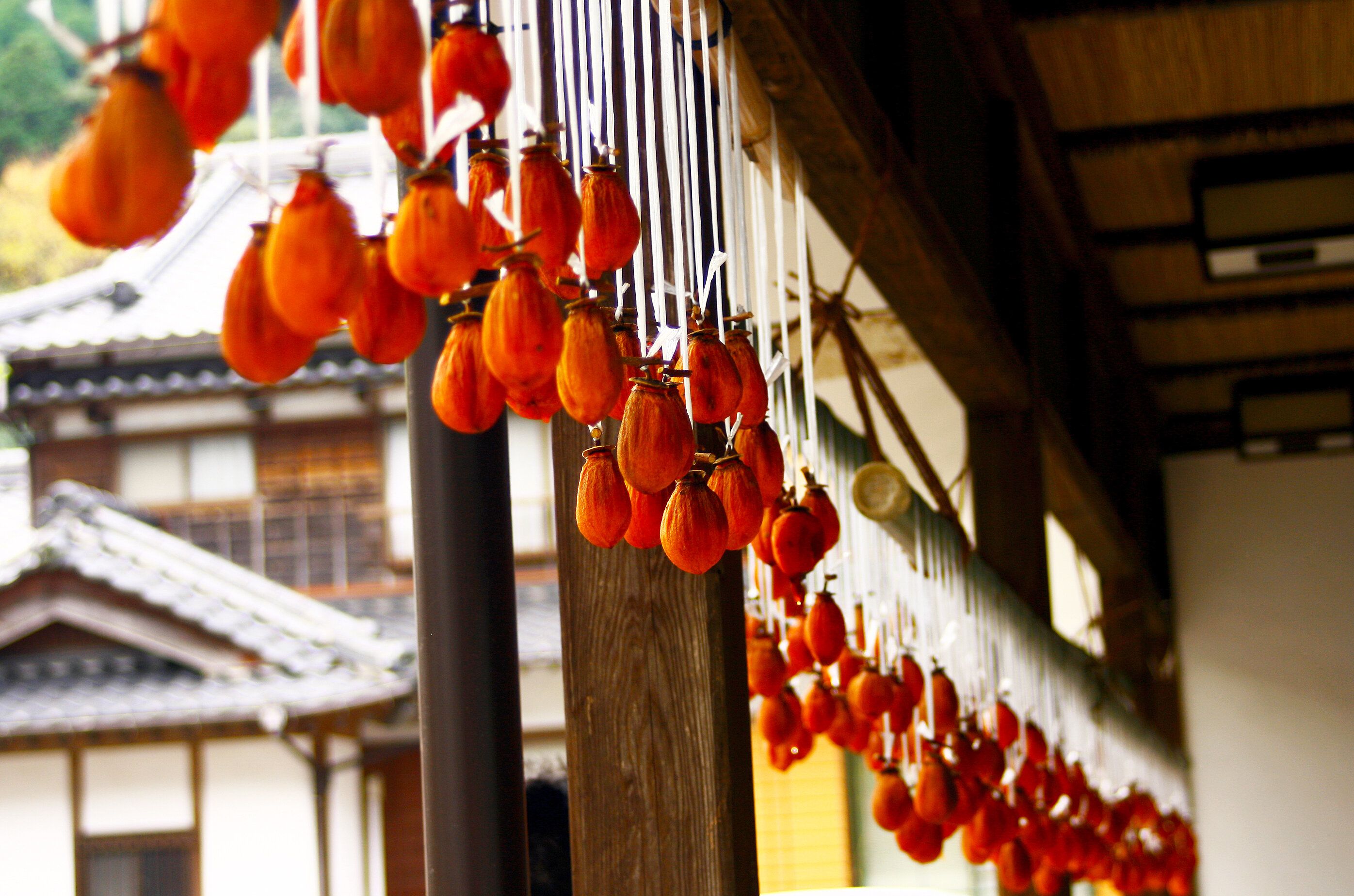日本の干し柿。