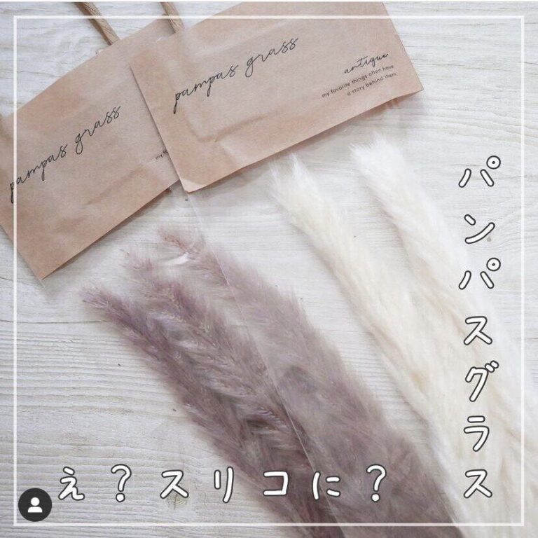 【3COINS】コスパよすぎ！スリコで買いたい人気インテリアアイテム3選