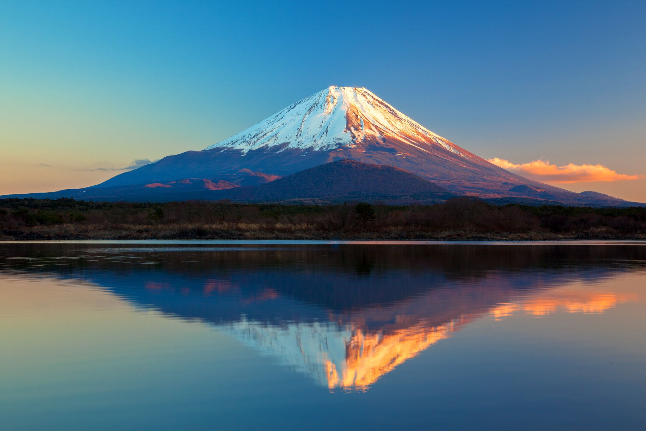 世界遺産の富士山や精進湖