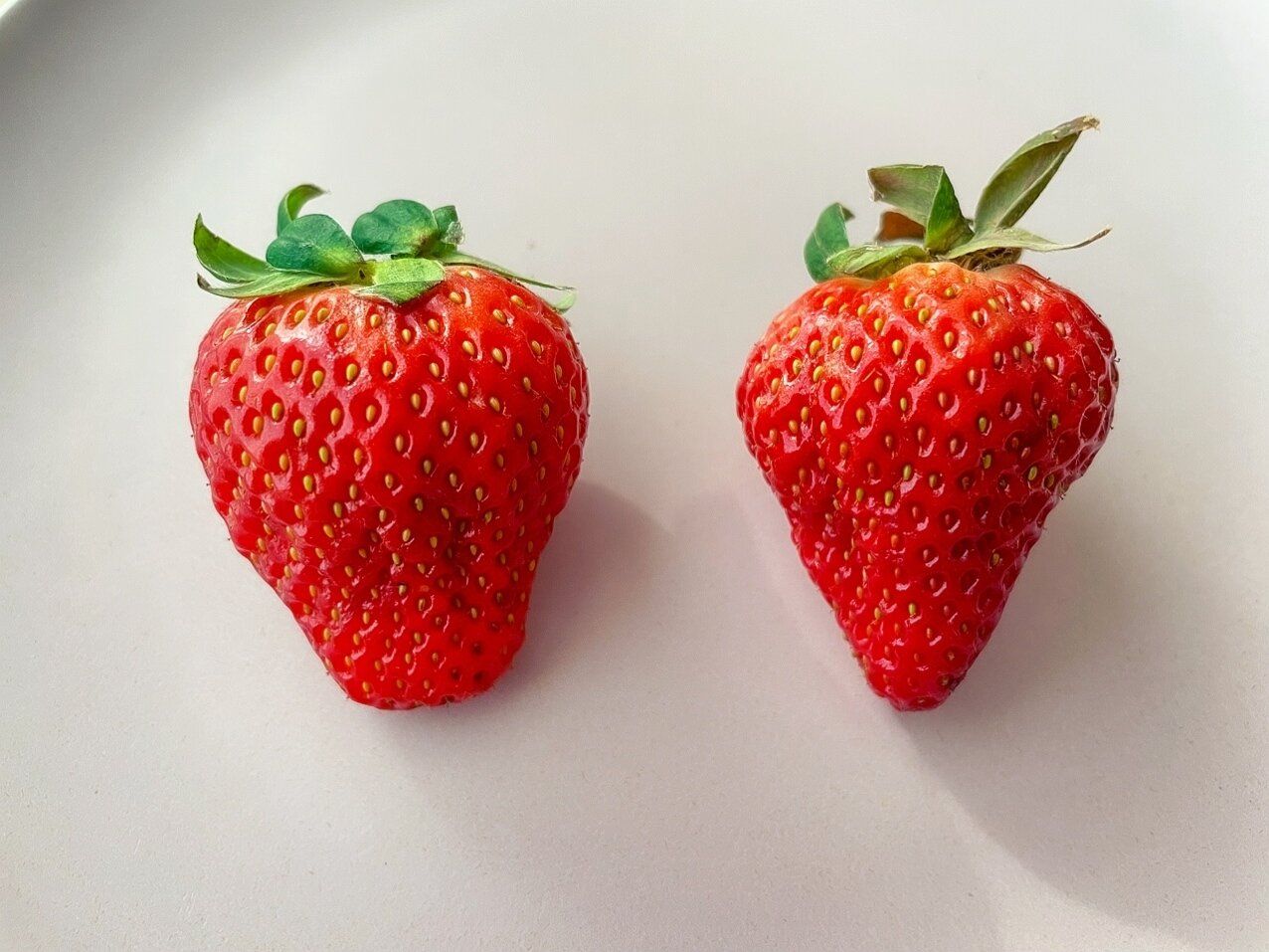 いちご買う時は絶対「形」を見て！甘さを形で見分ける方法をご紹介