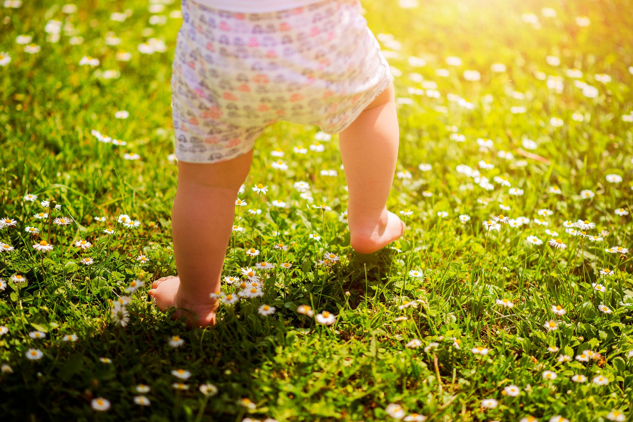 最初のステップ