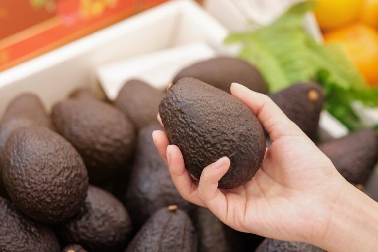 「アボカドダイエット」って効果あるの？ポイントやおすすめレシピを紹介