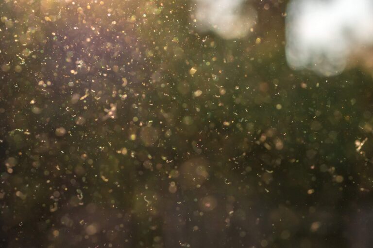3つのステップで花粉対策！花粉に強い家をつくる家事・片づけ習慣