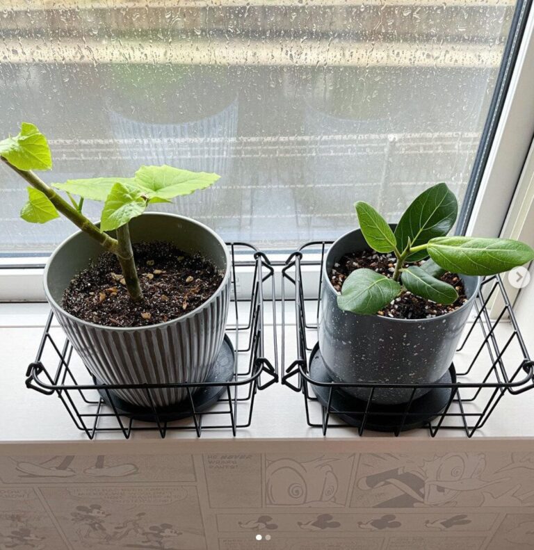 手軽に取り入れられる！セリアの『ワイヤーバスケット/かご』を使ったおしゃれ&スッキリ収納アイデア&活用術をご紹介！