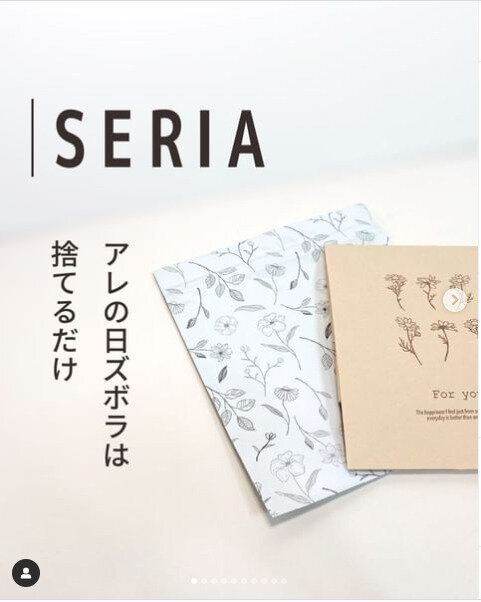 【セリア】おしゃれすぎるサニタリーバッグはセリアで買うべし