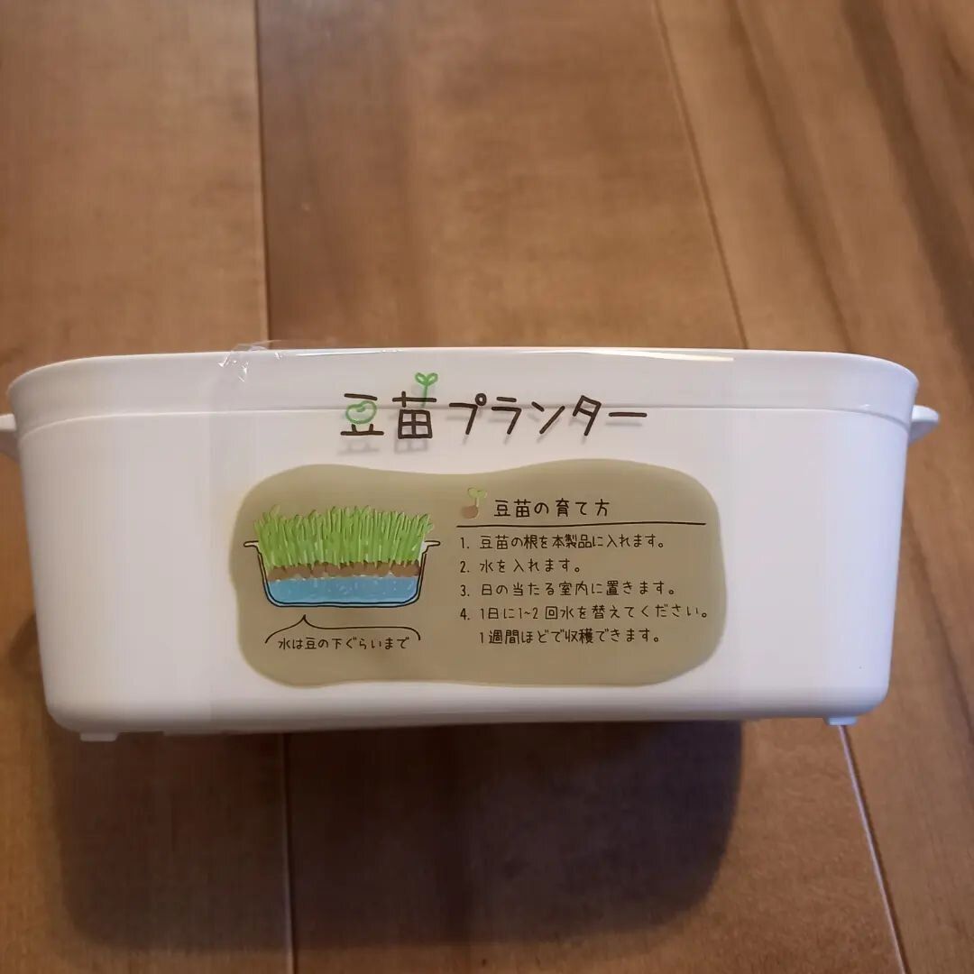 【セリア】豆苗プランターでキッチン栽培が手軽に！