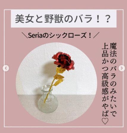 【セリア】美女と野獣のバラ！？
