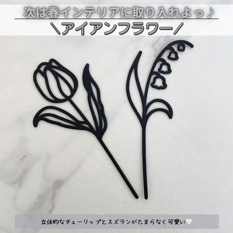 目の前で続々とみんな買ってる【セリア】「絶対買い！」「たまらなくかわいい」超使える4選！