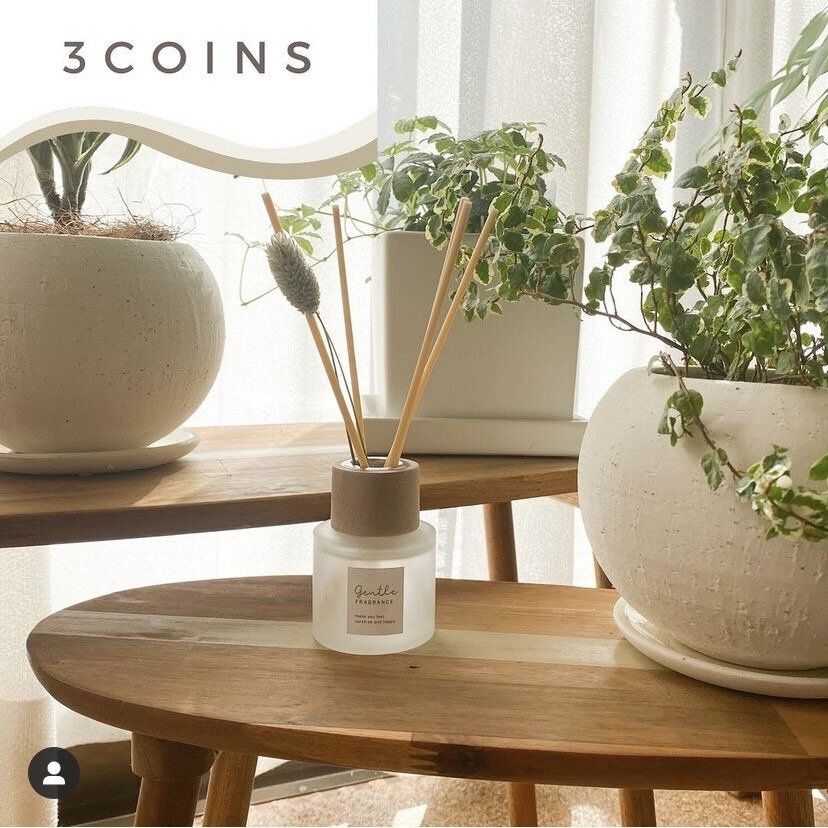 香りが長く持続する「ドライフラワーディフューザー」