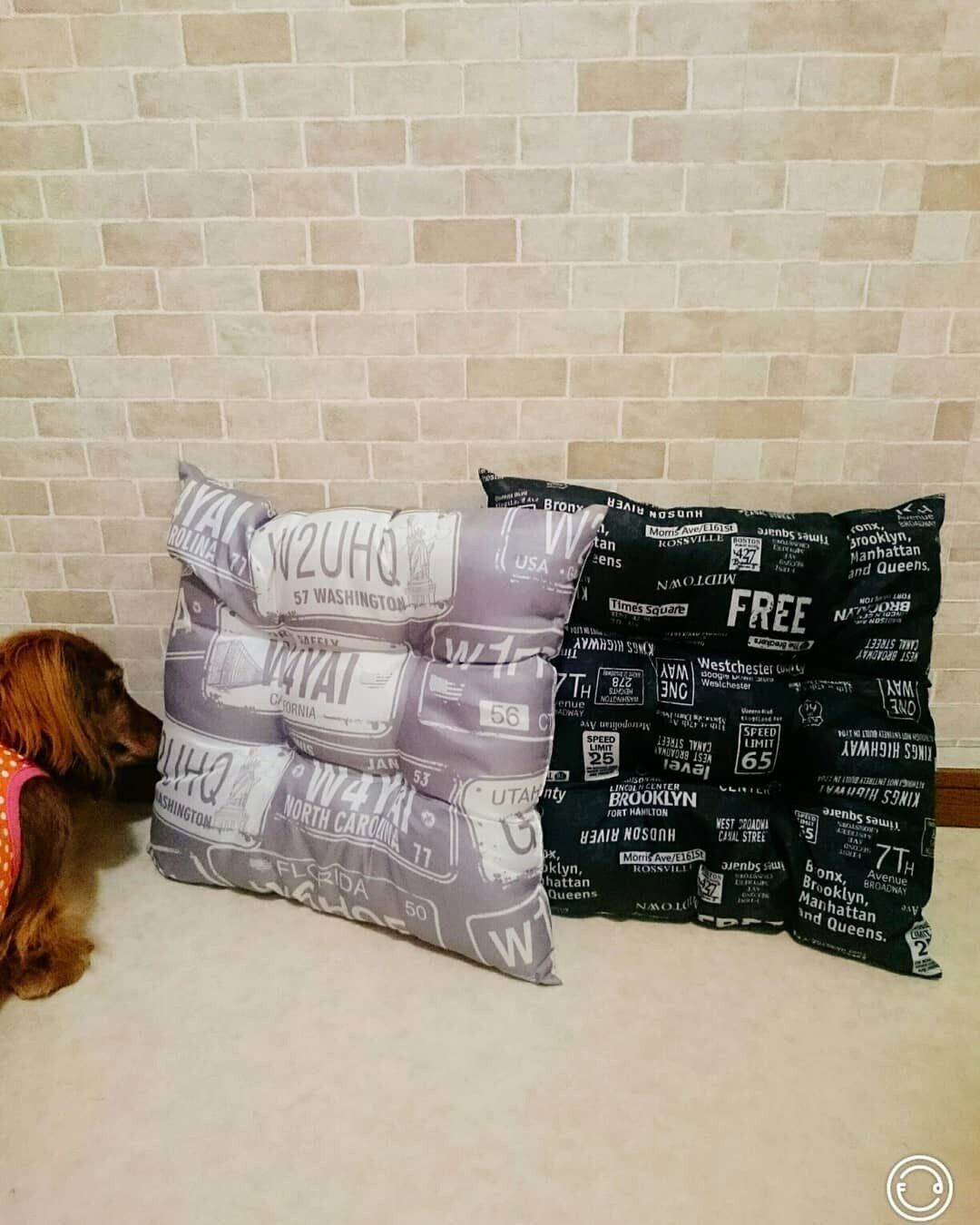 【セリア】置いているだけでおしゃれ!英字柄クッション