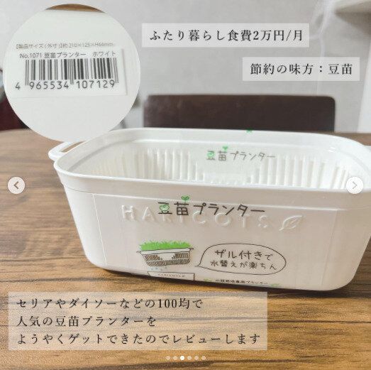 【セリア】こんな商品求めてた！豆苗専用プランターがかわいくて便利