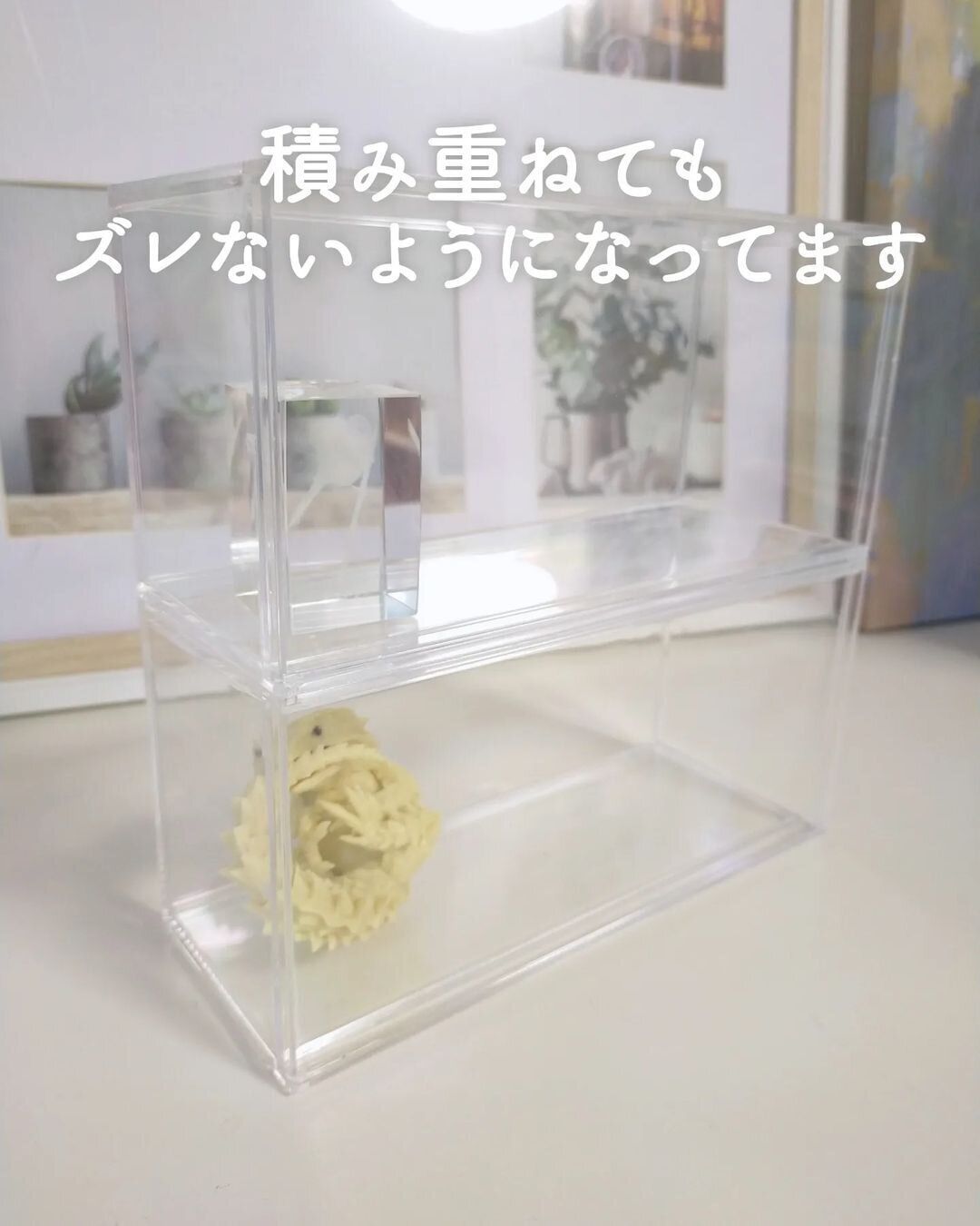 【セリア】マニアにおすすめ!ディスプレイケース