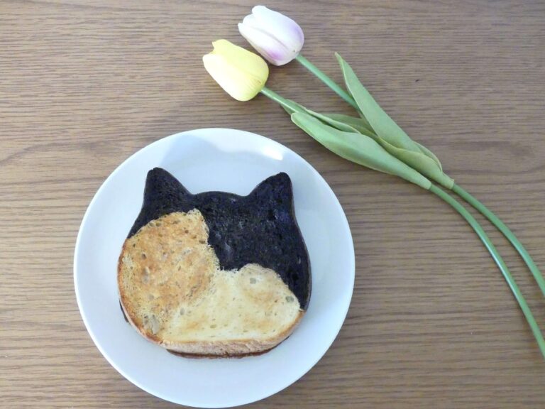 高級食パンはもう古いニャン！おもたせにも最適な3種類の味が楽しめるネコ食パン