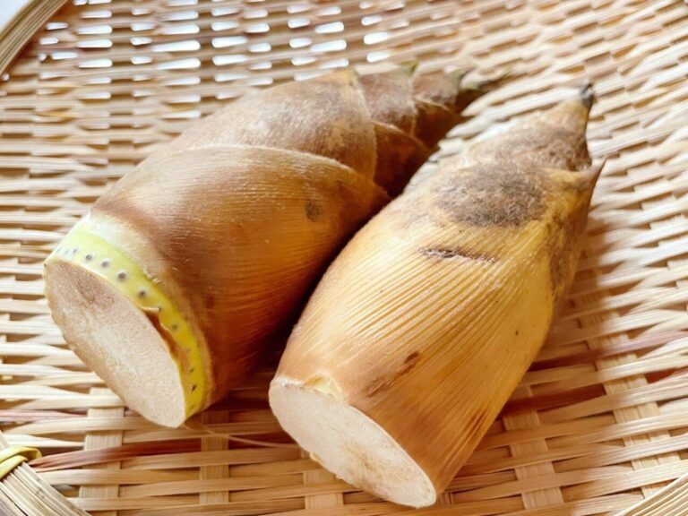 野菜のプロが教える！旬のたけのこのおいしすぎる食べ方