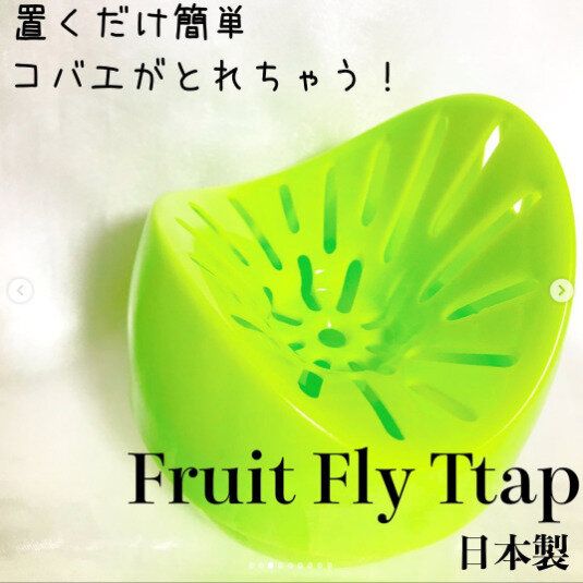 【ダイソー】コバエをしっかりキャッチ!