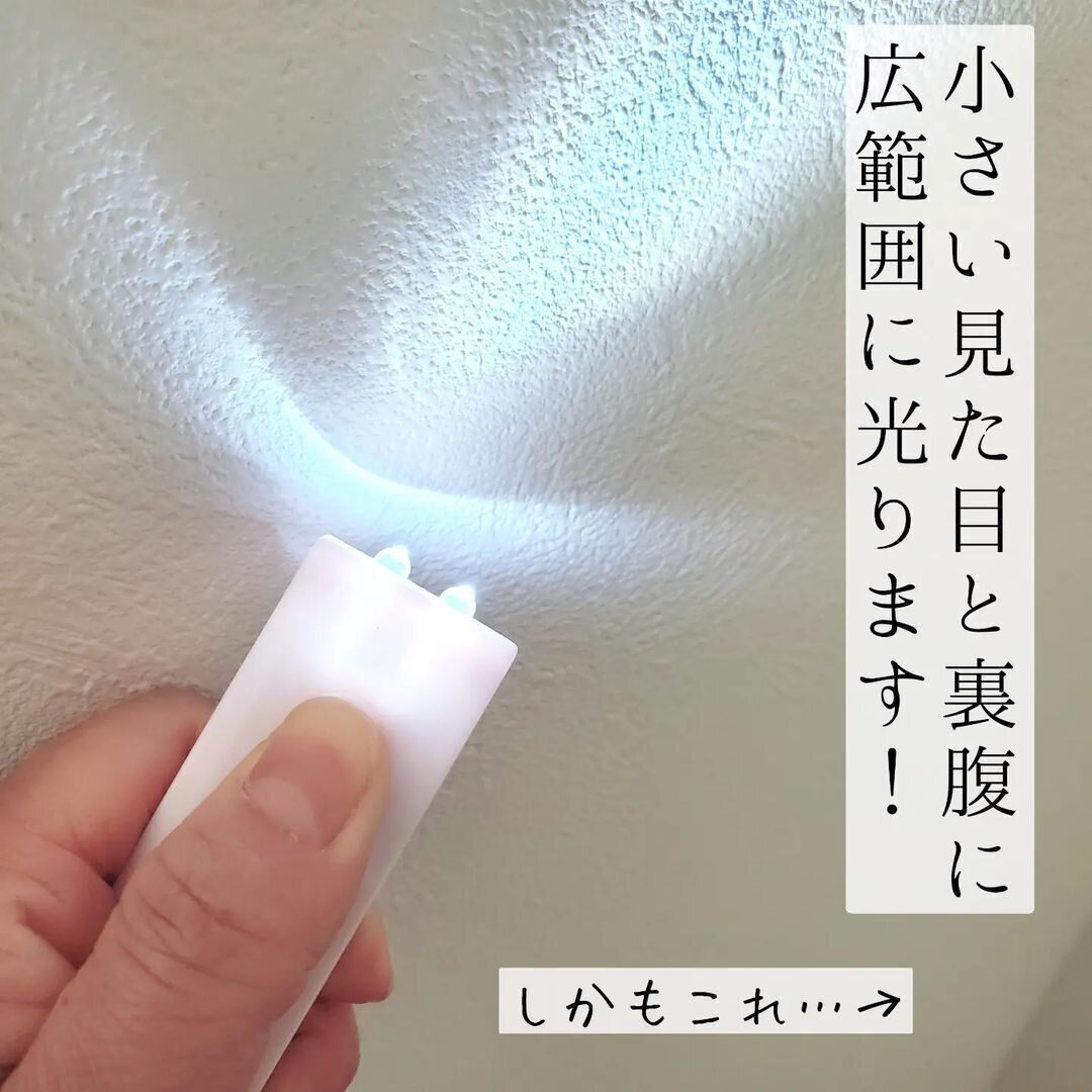 【セリア】いざというときのお守り代わり