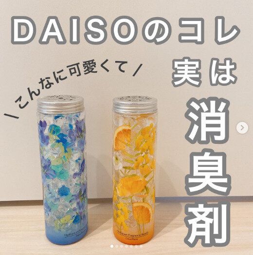 【ダイソー】ダイソーさん!これが消臭剤とかレベチすぎるでしょ!