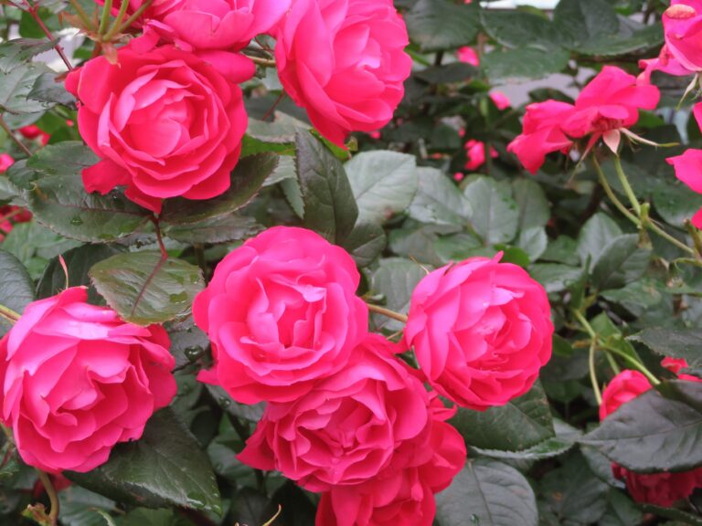 発信することで変わった生活習慣！SNSの世界も案外悪くない