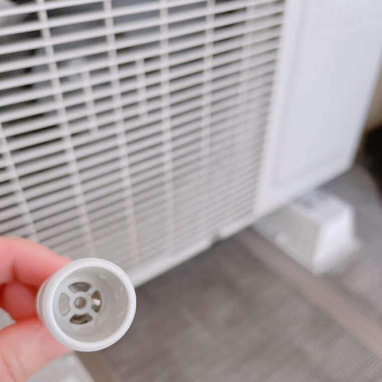 じつは「堂々と」入ってくる!?6年間ゴキブリが出ていない家がやっていることとは？