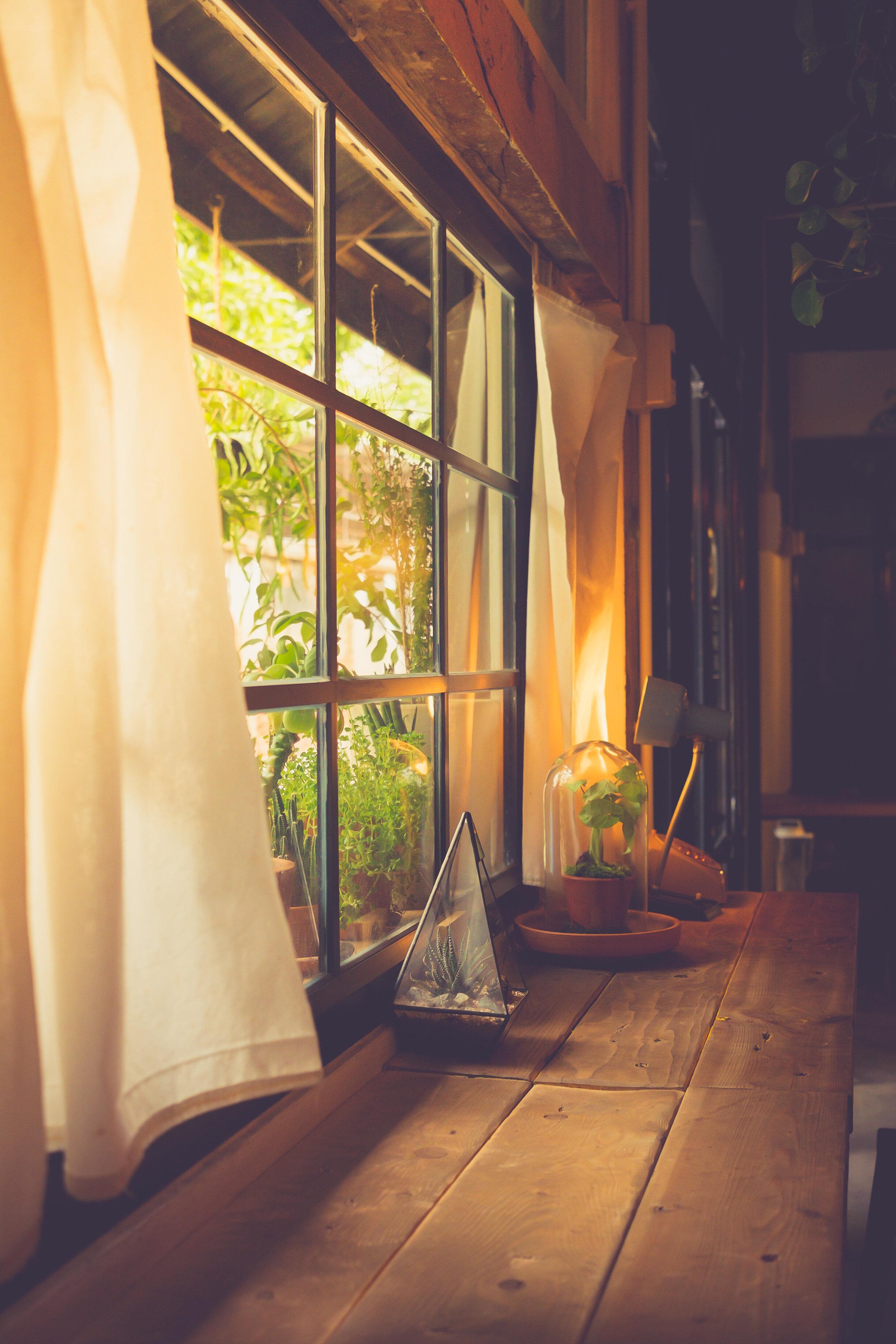 小さい植物ポットウィンドウに表示されます。