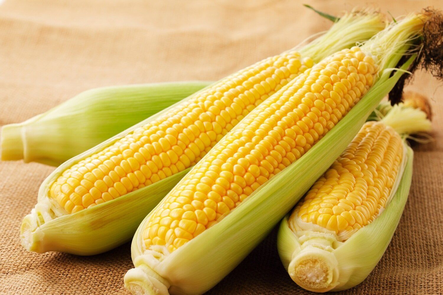 とうもろこし は 野菜