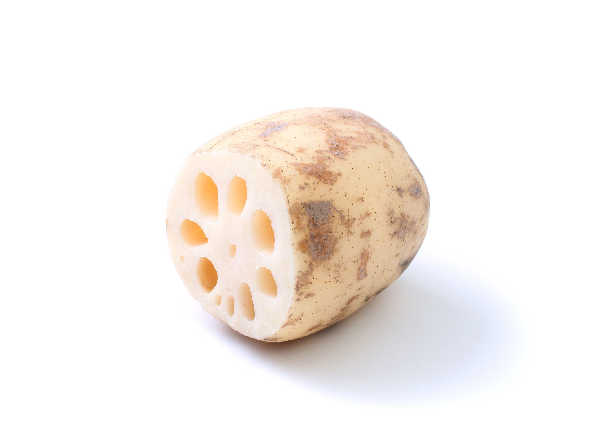 白のロータス ルート