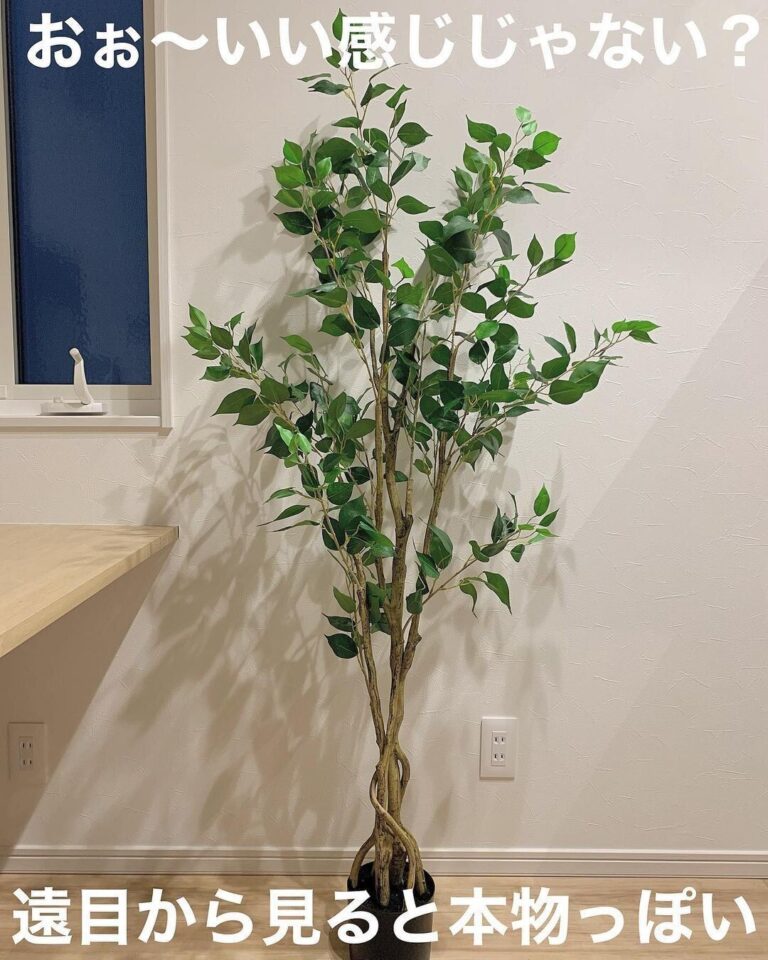 続々とみんな買ってる【ニトリ】「遠目から見ると本物」「999円で買える」大人気アイテム5選