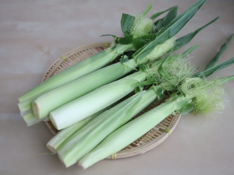野菜のプロが教える！旬のヤングコーンのおいしすぎる食べ方
