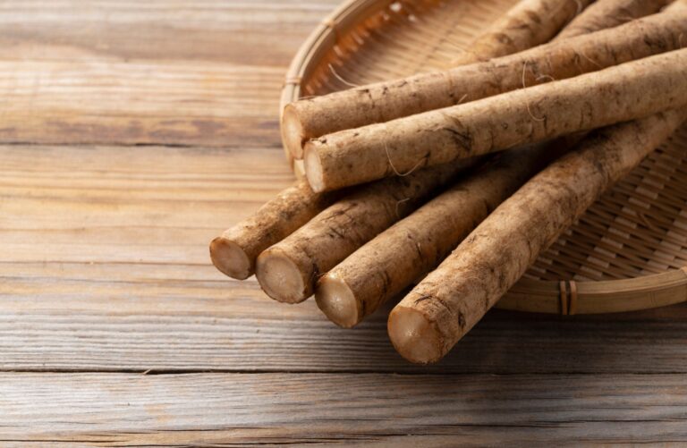 【野菜のプロ監修】「ごぼう」の保存方法は？正しい方法を知りおいしく使い切ろう！