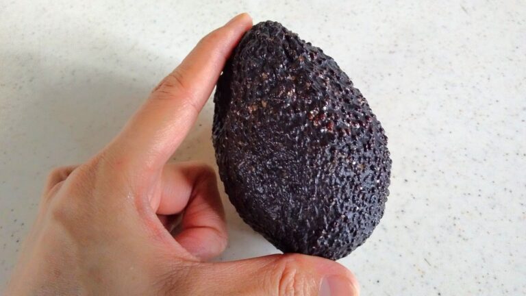 これで本当に果物なの？「アボカド」の栄養価が想像以上にすごかった件について