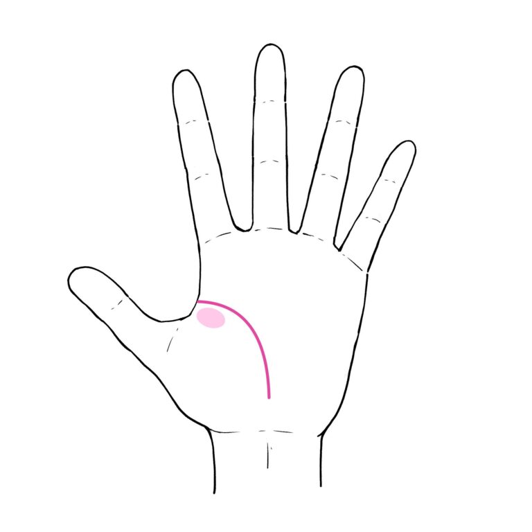 3秒でわかる手相術！人生の逆境、あなたは乗り越えられるタイプ？ダメになるタイプ？