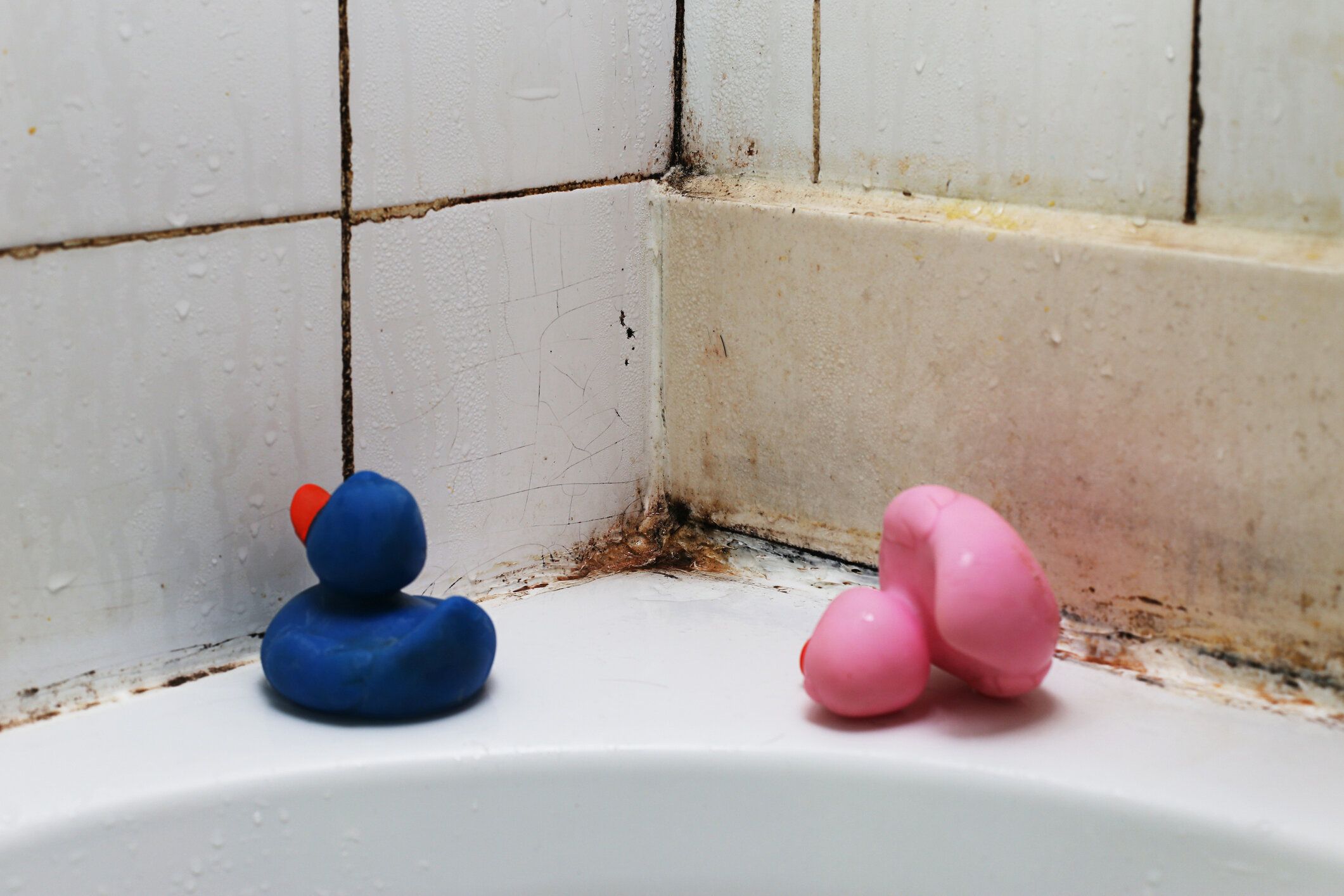 タイルをあしらったバスルームには、成形