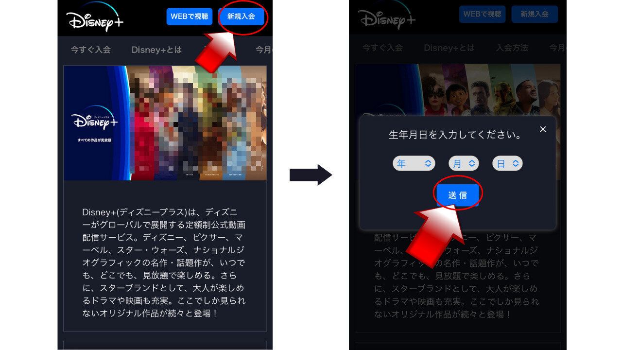 ディズニープラス　登録手順