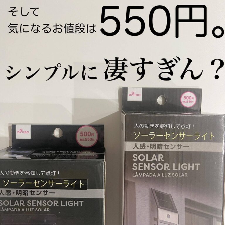 売り切れになる前！【ダイソー】「見た瞬間にビビッと来た！」「シンプルに凄すぎん？」屋外で大活躍するアイテム2選