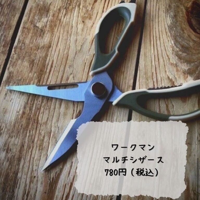 売れ切れ必至！【ワークマン】「まさかの780円」「さすがワークマン！」激推しキャンプ用品3選