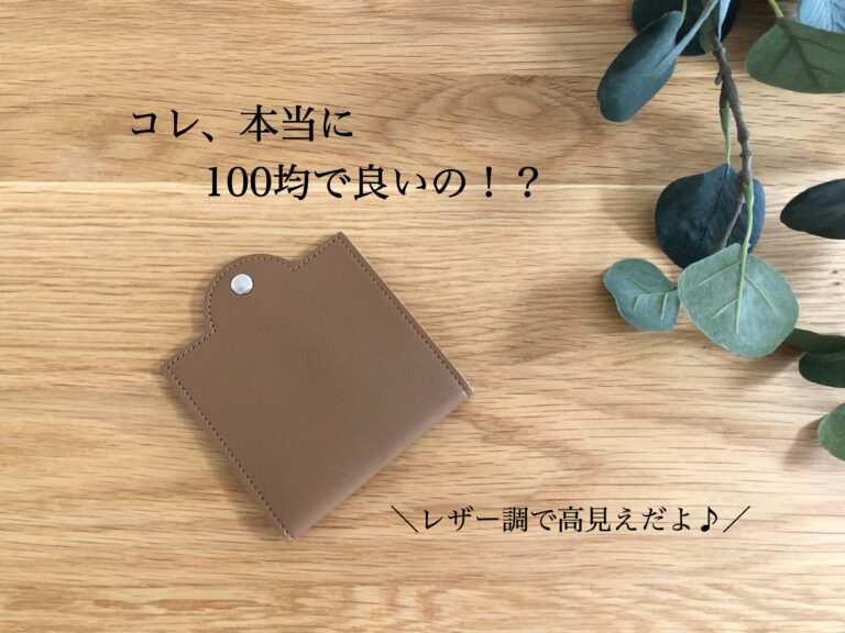 【セリア】本当に110円で良いの!?高見えするマスクケース