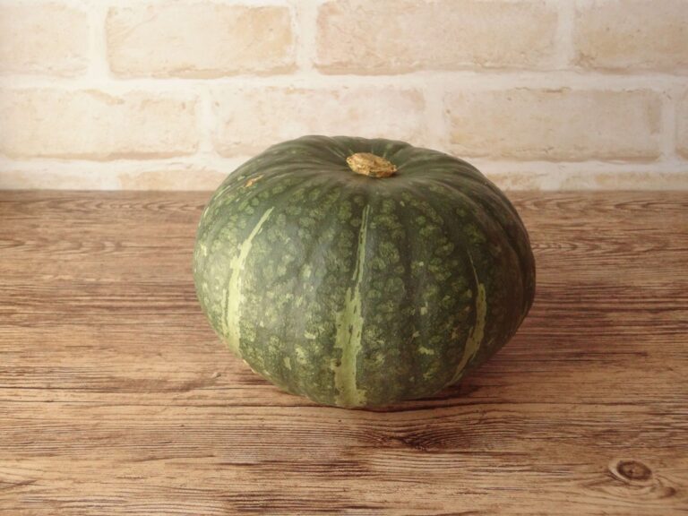 やらなきゃもったいない！かぼちゃの一番おいしい食べ方！