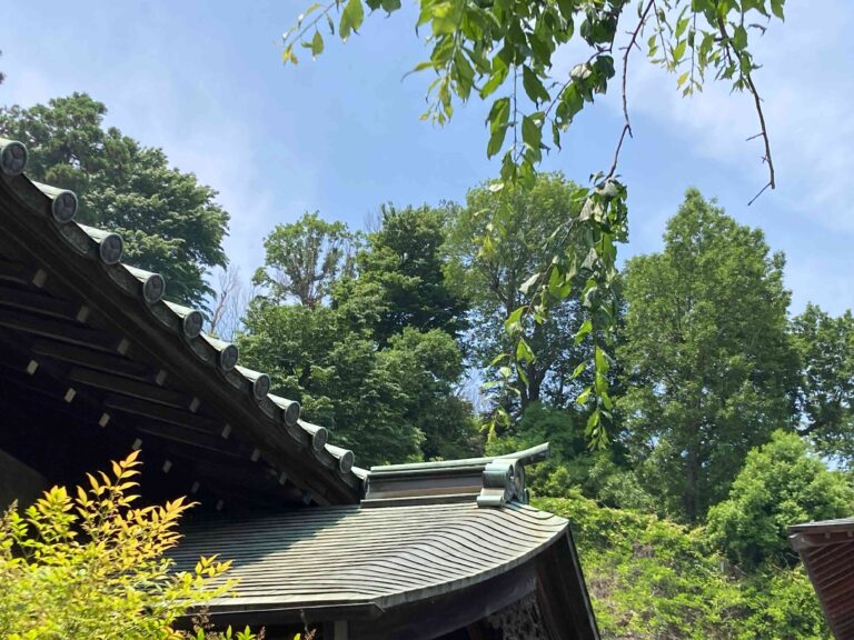 寺を見上げると思い出す……図工の先生の一言による気づきとは