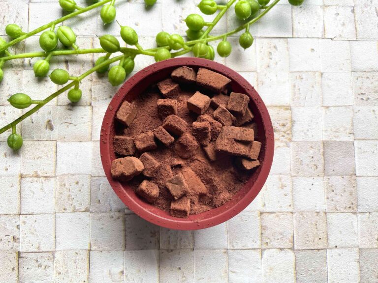 【セブン】このアイス完璧なんですが！満足すぎる「生チョコアイス」