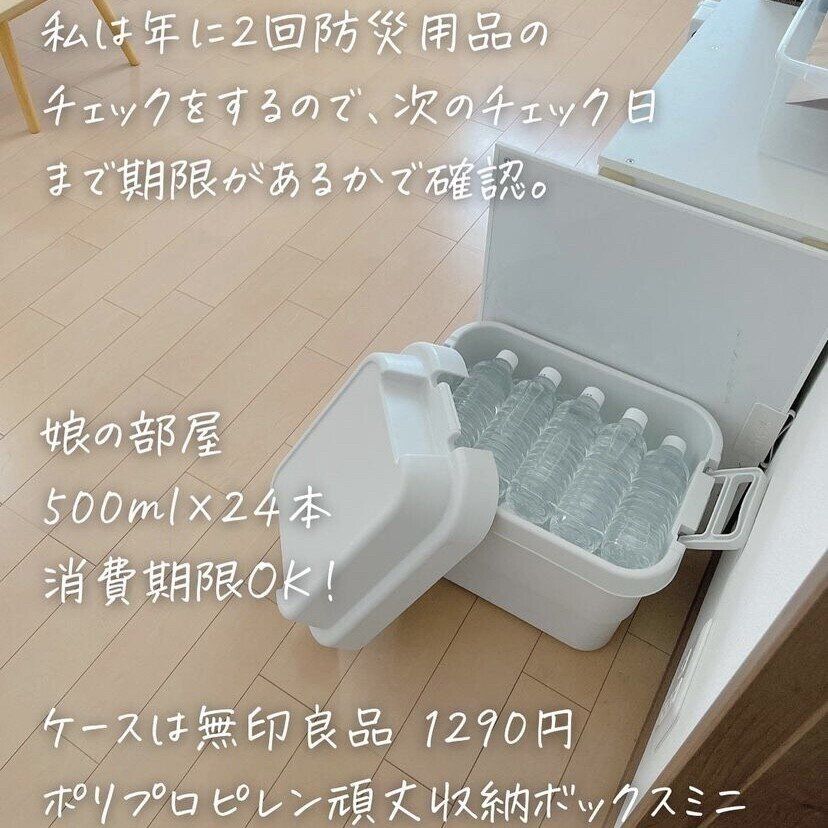 収納ボックス ミニ