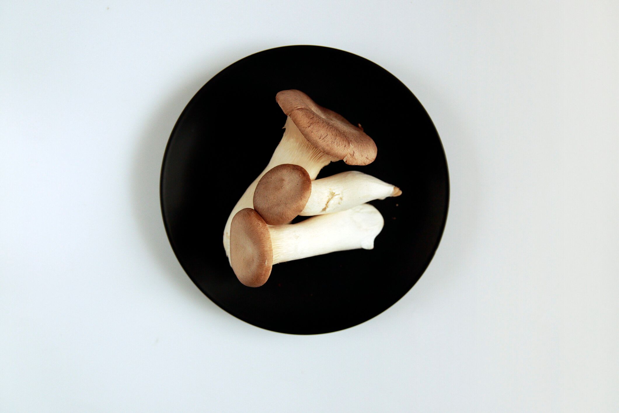 テーブルの上のキノコ王のトランペット