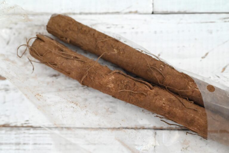 【旬食材】食物繊維たっぷりで美容にもうれしい「ごぼう」をたっぷり味わおう！簡単ごぼうレシピ3選