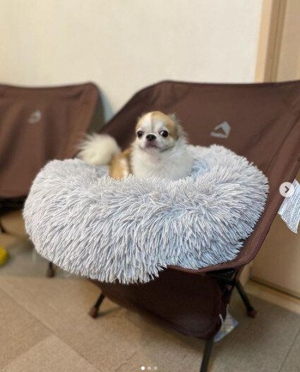 【ワークマン】たき火やバーベキューで大活躍！