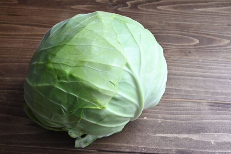 【旬食材】キャベツ1玉使い切り！キャベツを大量消費できる簡単レシピ3選