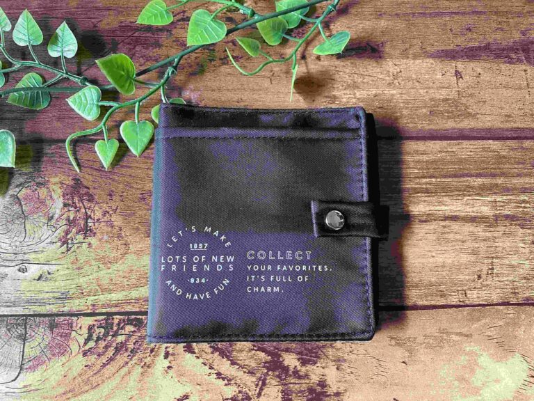 【イルーシー300】こんなの欲しかった！マスクとティッシュが一緒に持ち歩けるコンパクトケース